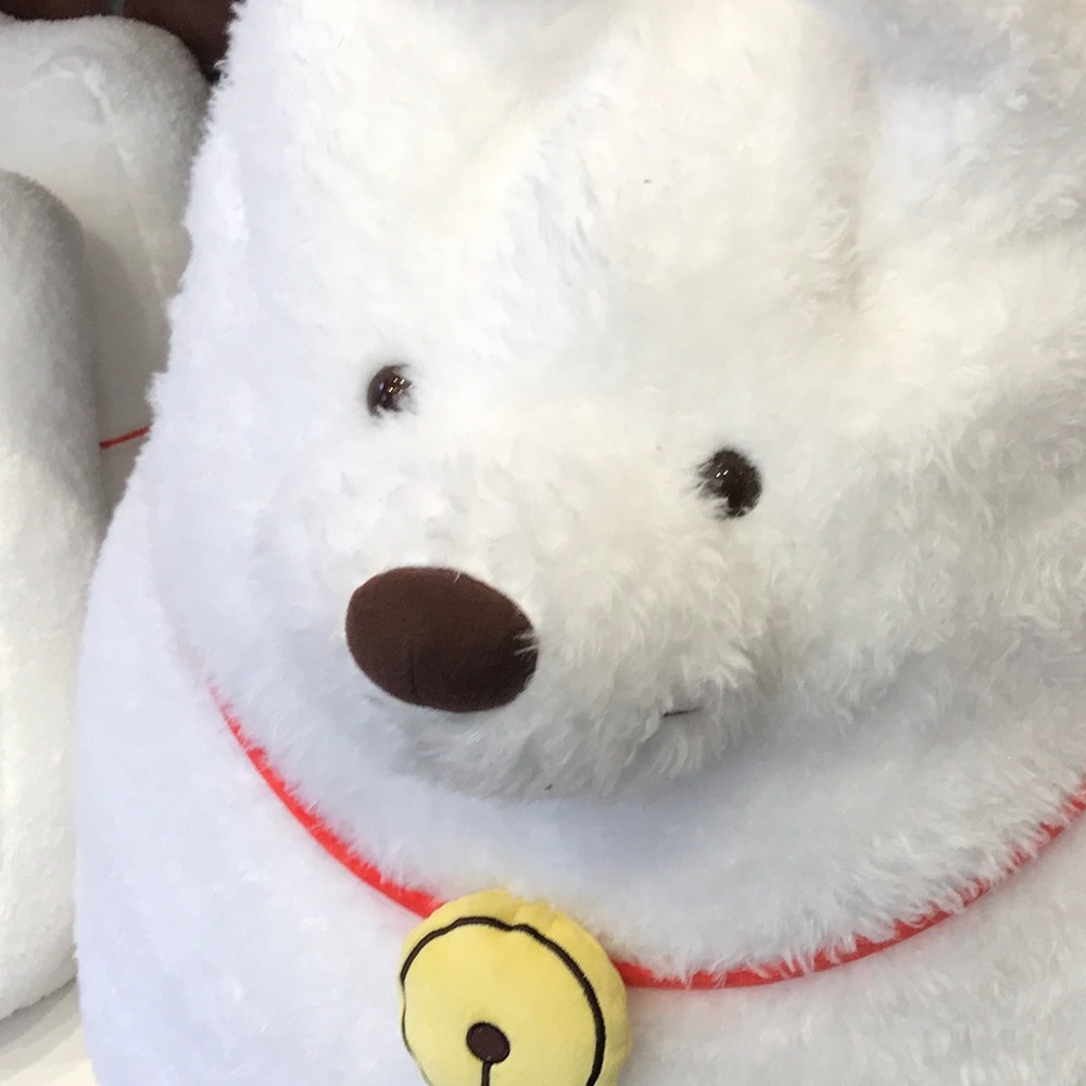 Meet your Posher, Gisselle